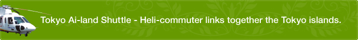 Tokyo Ai-land Shuttle - Heli-commuter links together the Tokyo islands.