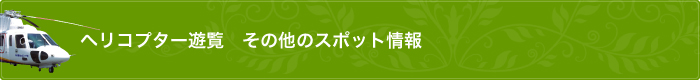 ヘリコプター遊覧　その他のスポット情報